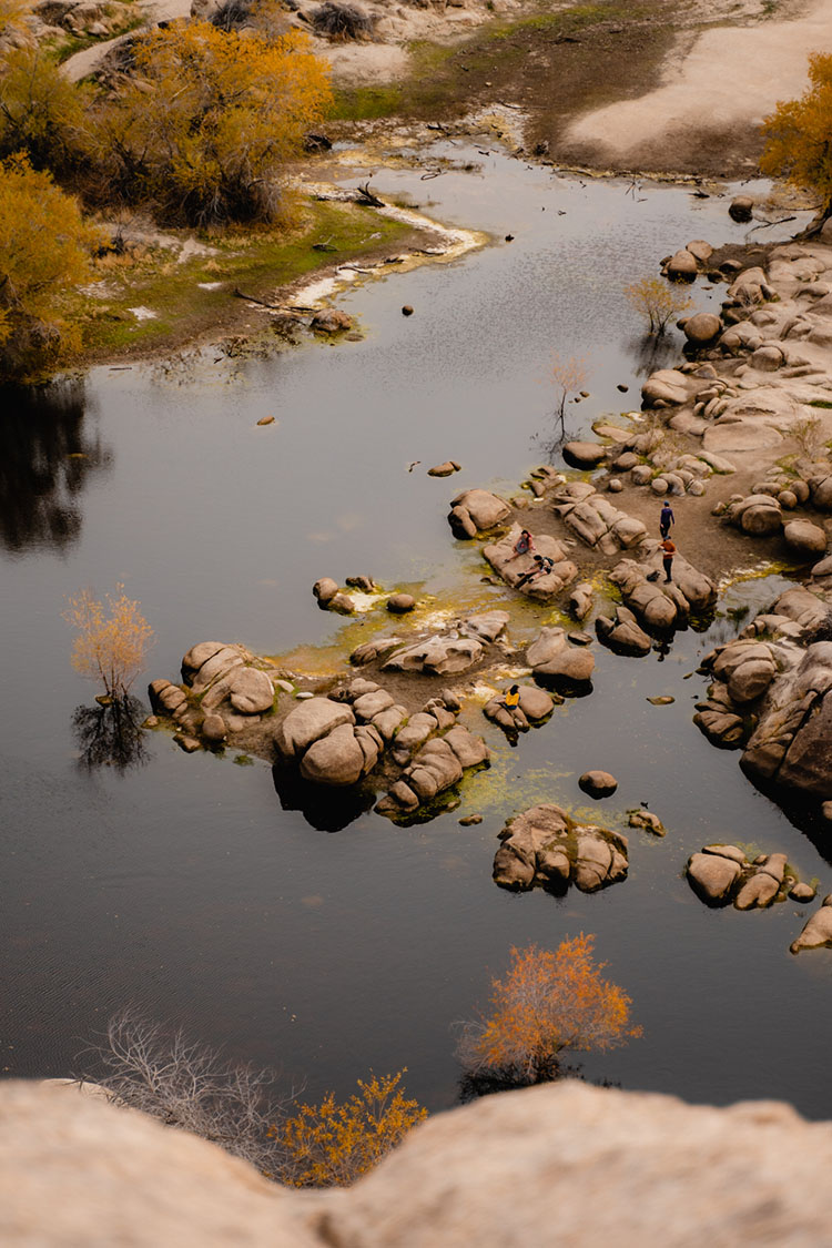 People by a pond in Joshua Tree National Park
