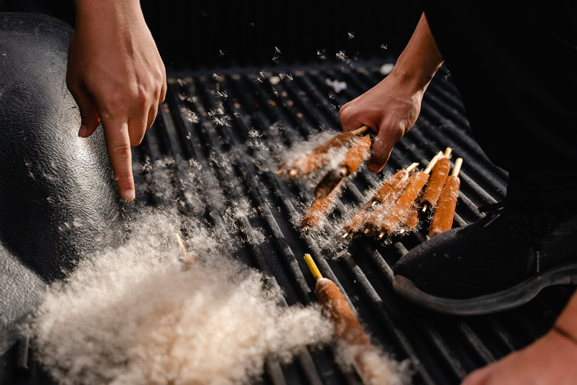 Cat tail seeds fly around the bed of a truck