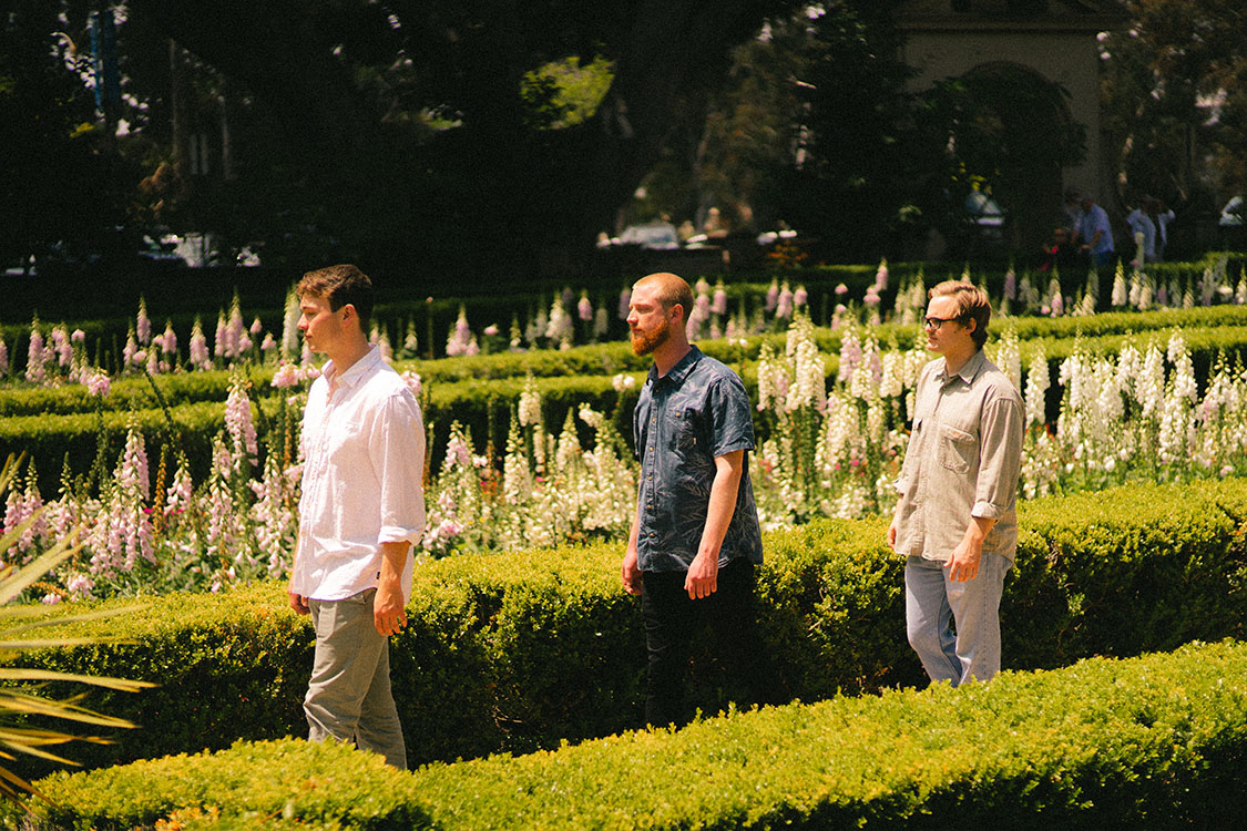 Three men walk through a garden maze