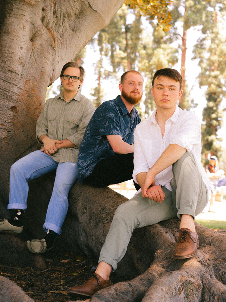 Three men sit on root of Moreton Bay fig tree