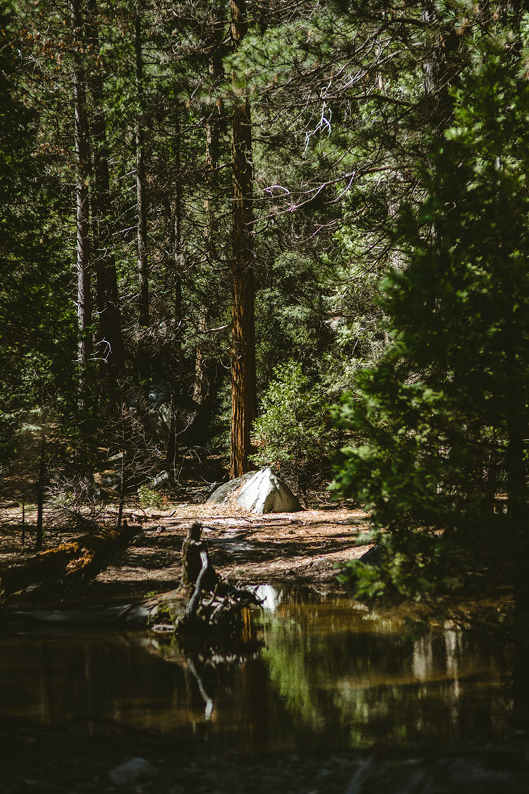 Lone boulder in clearing in Yosemite National Park
