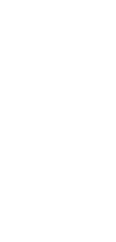 Bear sketch